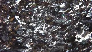 Microdiorite au microscope polarisant (LPA)