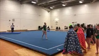 Gymnastics Edina vs Wayzata - Bars and Floor