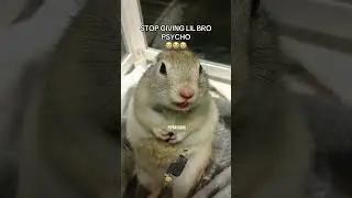 STOP GIVING LIL BRO PSYCHO! 😭