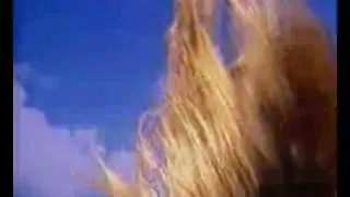 Timotei Shampoo