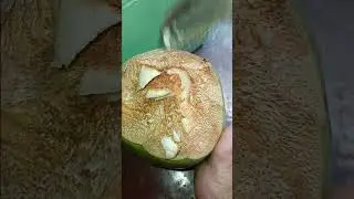 Before drinking watch this coconut cutting skill