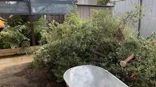 Green Waste Removal Melbourne - Easy Rubbish Removal