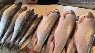 Скромный, рыбный рынок и приготовление осетрины.Дербент-Дагестан