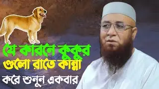 যে কারণে কুকুরগুলো রাতে কান্না করে শুনুন একবার 😭😭😭 Nazrul Islam Kasemi waz মুফতি নজরুল ইসলাম কাসেমী 
