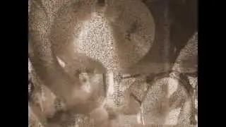 Fara Toga Man - Leider - Livejam