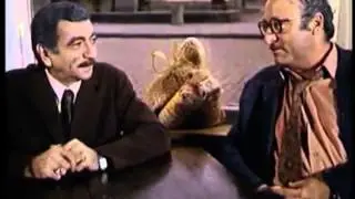 Два коняка