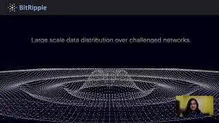 Real-time video streaming demo using BitRipple Mono