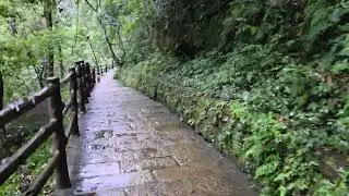 Zhangjiajie forest national park - Whip Stream - Monkey encounter 
