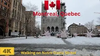 Walking Tour Montreal Notre Dame Street 4K  || Virtual Tour Notre Dame Street Montreal Canada