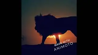Wake Up Call - dancehall reggae mixtape (Rasta Lion sound)