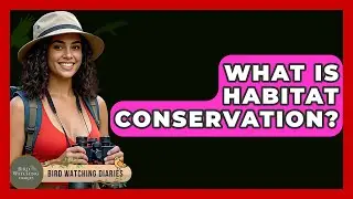 What Is Habitat Conservation? - Bird Watching Diaries