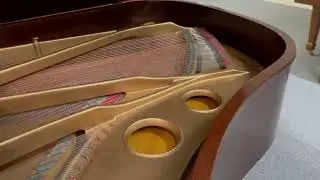Atlantic Music Center  | Wm Knabe & Co Grand Piano