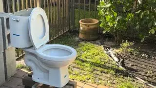 What toilet should I buy? Home Depot value ncc toilet review!