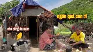 KHI người dân tộc RAGLAI được ăn bánh mì và CÁ HỘP || 53