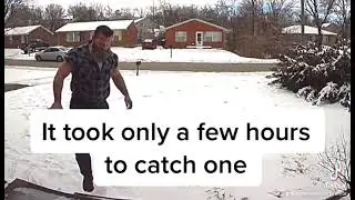 Porch pirate revenge. 1/2