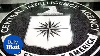 Wikileaks dumps information claiming proof of CIA hacking - Daily Mail