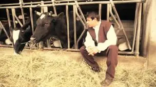 FELLINI IL MULINO CHE VORREI !!!