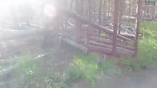 Hike the Ice Lake Trail, Yellowstone National Park