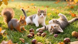 Adorable kittens playing on the grass with little squirrels &ndash; Cat sounds - Cat video