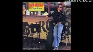 David Hallyday-Vertigo ( Powerock4fun )