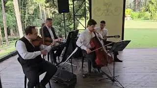Thinking Out Loud | Ed Sheeran | M&uacute;sica ao Vivo para Casamento | Zanotte Music
