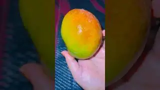 Mango 🥭 🥭 Cutting #shorts #viralvideo #mango