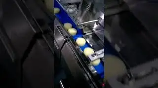 Automatic cupcake flow pack wrapping machine for moon cake, cup cake, biscuit