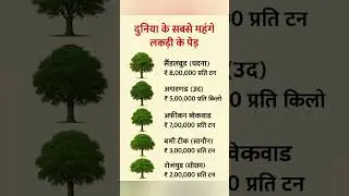 दुनिया के सबसे महंगे लकड़ी के पेड़ 🌳💰 | Expensive Wood Trees. #shorts #facts #tree