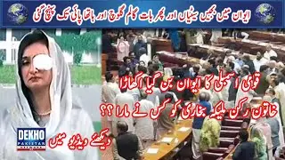 Malika Bukhari Ko Kisny Mara | Fight Between Opposition And Position | Dekho Pakistan
