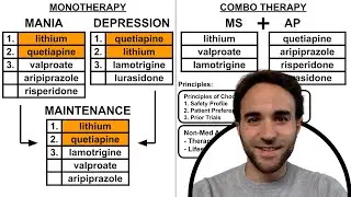 Bipolar Disorder Treatment Overview