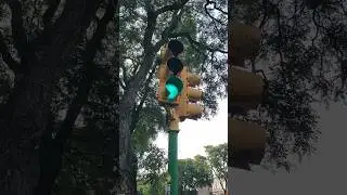 sem&aacute;foro M&aacute;s verde🚦Мохнатик вырос