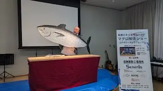 まぐろ解体ショー❗️はまみらいみんなフォーラム