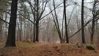 waterfront private cabin for sale or rent with 260 acres part 2