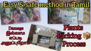 🌱Garden Plants packing | Customer order dispatch video | 🌿 From our garden to your home |