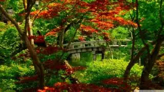 Mark Vank - Rain ♫ Top music 2016 ♫ Best song 2016 ♫ 1 hour music