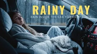 Fall Asleep Instantly ⛈️ Cozy Car Rainstorm with Gentle Thunder Sounds