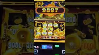 Casino wins #slots #casinogames #bonus #epic