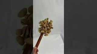 Kenari Nut Stick Shaker, Large, sound sample