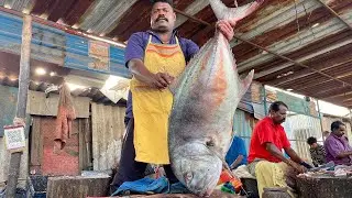KASIMEDU SPEED SELVAM MINSTER TREVALLY CUTTING 🔥 IN KASIMEDU FISH CUTTING 🔥