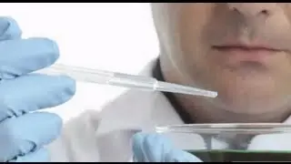 Reverse Aging with Stem Cell Research