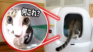 カメラ付きの自動トイレを買ったら、まさかの落とし穴が、、、