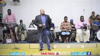 حمادة عباسية || كنوز محبة || صالة ليالي المدينة 2020