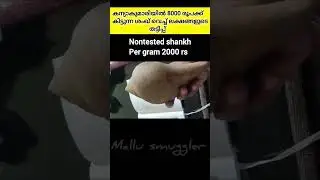 വളമ്പിരി ശംഖ്&zwnj; തട്ടിപ്പ്