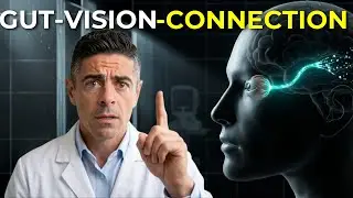 The Gut&ndash;Brain&ndash;Vision Connection No One Talks About