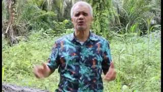 Tree planting jingle
