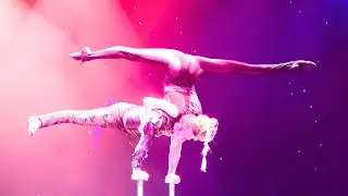MSC  EURIBIA ship tour - Grand Theater - Shows - Highlights