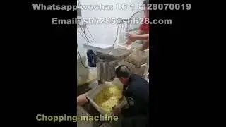 Commecial garlic chopping machine ginger cutting machine onion cutter