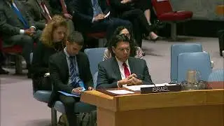 United Nations Security Council, 8256th meeting Palestinian Situation 5-15-18