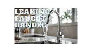How to fix a leaking Pfister kitchen faucet handle! Easy DIY fix!!!!!