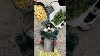 130-150kg/h Small Chicken Feed Pellet Machine for Home Use | Compact & Efficient #machine